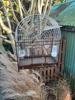 Surinaamse twatwakooi, Ophalen of Verzenden, Vogelkooi