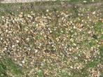 Grind 8 m2 gratis af te halen, Tuin en Terras, Grind, Keien en Split, Ophalen, Overige materialen, Gebruikt, Wit