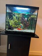 Superfish 50 start aquarium en aquarium meubel, Dieren en Toebehoren, Vissen | Aquaria en Toebehoren, Ophalen, Zo goed als nieuw