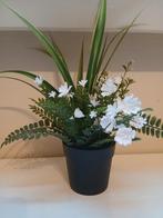 Ikea nepplant, Ophalen of Verzenden, Gebruikt, Binnen