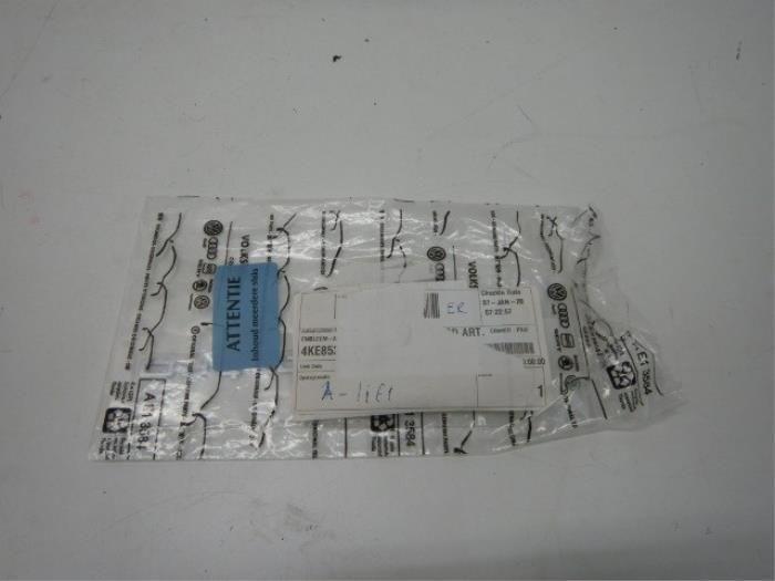 Embleem Audi E-Tron (22729168), Auto-onderdelen, Overige Auto-onderdelen, Gebruikt, Ophalen