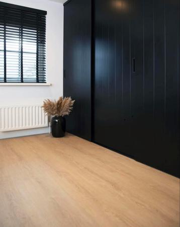 Hebeta 5447 en 5446 dryback plank beschikbaar voor biedingen