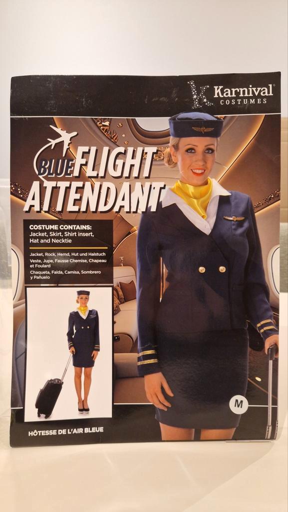 Stewardess Pak Maat M - Carnaval/Themafeest, Kleding | Dames, Carnavalskleding en Feestkleding, Zo goed als nieuw, Kleding, Carnaval