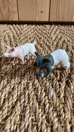 Varken en koala - lam en ijsbeer, Verzamelen, Beelden en Beeldjes, Ophalen of Verzenden, Zo goed als nieuw, Dier