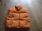 Oranje Penn & Ink bodywarmer S of XL, Kleding | Dames, Penn & Ink, Maat 46/48 (XL) of groter, Oranje, Ophalen of Verzenden
