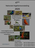 Vogelbeurs VV Tropica Heemskerk zondag 7 September, Ophalen of Verzenden, Zo goed als nieuw