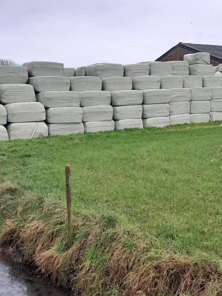 Mooi hooi in wikkelbalen. Ook stro., Dieren en Toebehoren, Dierenvoeding, Overige soorten, Ophalen of Verzenden