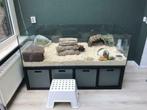 Duurzaam glazen hamster/cavia hok, knaagvrij en hygiënisch, Nieuw, Minder dan 60 cm, 75 tot 110 cm, Hamster