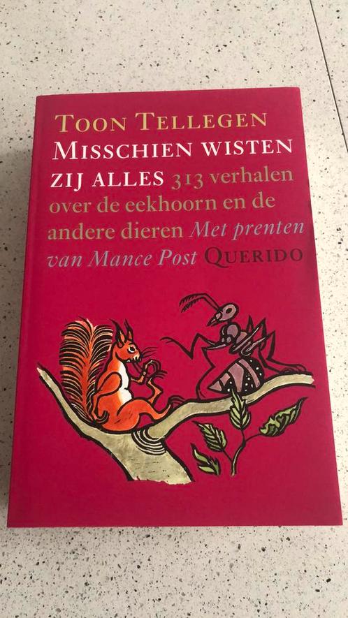 Toon Tellegen - Misschien wisten zij alles, Boeken, Kinderboeken | Jeugd | onder 10 jaar, Zo goed als nieuw, Ophalen of Verzenden