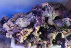 Zeeaquarium Rockzolid kunstmatig rif, Dieren en Toebehoren, Ophalen, Plant(en), Steen of Hout
