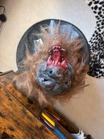 Diverse maskers, Ophalen, Gebruikt