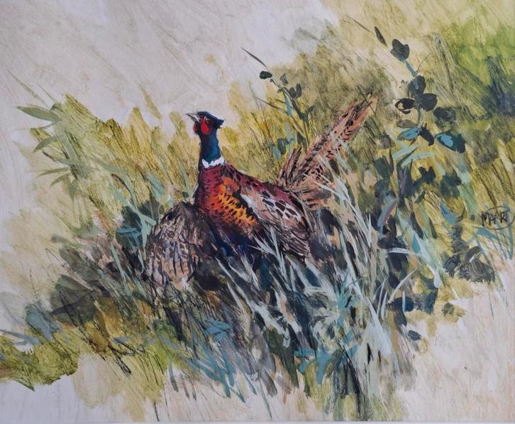 Fazant haan in het groen. Sign. Gouache/papier. 76/72 cm., Antiek en Kunst, Kunst | Schilderijen | Klassiek, Ophalen