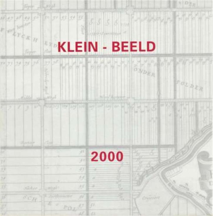 Klein-beeld 2000, Boeken, Kunst en Cultuur | Beeldend, Nieuw, Overige onderwerpen, Ophalen of Verzenden