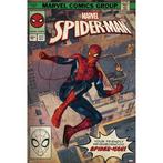 Poster SPIDER-MAN nieuw*, Ophalen of Verzenden, Nieuw, Rechthoekig Staand