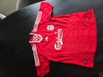 Liverpool home jersey 2009-2010, Sport en Fitness, Voetbal, Maat XL, Verzenden, Zo goed als nieuw, Shirt