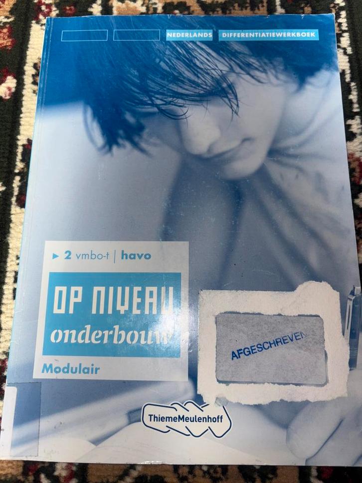 Nederlands Differentiatiewerkboek VMBO/HAVO, Boeken, Schoolboeken, Gelezen, Nederlands, VMBO, Ophalen of Verzenden