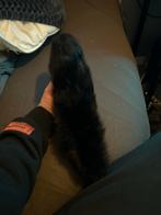 Vossen staart, Ophalen of Verzenden