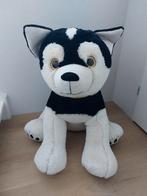 Grote Knuffel Husky Hond 75cm, Ophalen, Zo goed als nieuw, Hond
