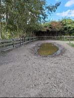 Paddock Paradise – volpension, geen taken