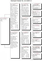 17 Top kweker van postduiven met zeer goede afstamming, Vrouwelijk, Postduif