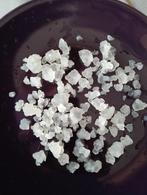 Te Koop mooie verse Waterkefir / Water Kefir nieuw, Ophalen of Verzenden