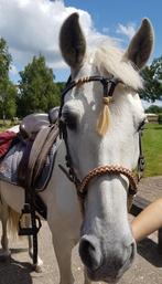 bosal, gevlochten neusband paard, leer, western, Dieren en Toebehoren, Ophalen of Verzenden, Zo goed als nieuw, Western