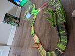 Dino racebaan, Ophalen of Verzenden, Gebruikt