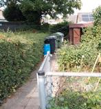 Diverse stekken van bessenstruiken en vaste tuinplanten., Ophalen