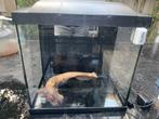 aquarium 25 Liter, Dieren en Toebehoren, Ophalen, Gebruikt, Leeg aquarium