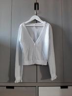 CKS vest zilver maat 140 nieuw!, Meisje, Trui of Vest, Nieuw, Ophalen of Verzenden