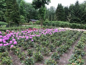 Vrijwilliger worden bij Landgoed De Hofboom beschikbaar voor biedingen