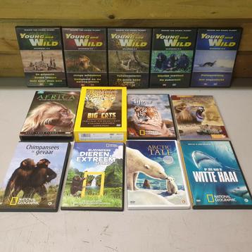 17 dvd's animal planet , national geograpic beschikbaar voor biedingen