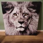 Canvas Leeuw, Ophalen of Verzenden