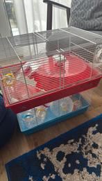 Hamsterkooi, Dieren en Toebehoren, Minder dan 60 cm, Kooi, Gebruikt, Minder dan 75 cm