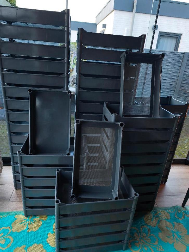 ZEEFBAKKEN VOOR DE SNELLE BESLISSERS!!!!!, Dieren en Toebehoren, Vogels | Overige Vogels, Wildzangvogel, Meerdere dieren