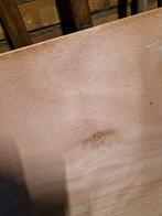 Buigtriplex platen 250x60 & 160x60 cm, Doe-het-zelf en Verbouw, Hout en Planken, Ophalen