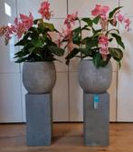 2 bloemstukken kunstbloemen medinilla vaas & zuil €100 p/st, Huis en Inrichting, Ophalen of Verzenden, Zo goed als nieuw