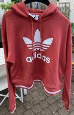 Adidas korte hoodie, Overige kleuren, Adidas, Ophalen of Verzenden, Zo goed als nieuw