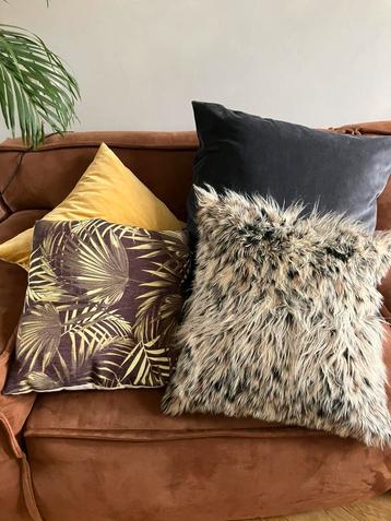 Diverse kussens alles bij elkaar voor 3 euro