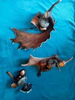 eland gewei  en bellen voor aan de muur, Ophalen of Verzenden, Gebruikt