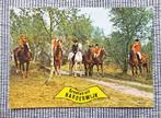 Jongens en meisjes te paard in Harderwijk begin jaren 80, Ophalen of Verzenden, 1980 tot heden, Gelopen, Paard