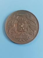 Penning tentoonstelling Leeuwarden 1898, Postzegels en Munten, Penningen en Medailles, Ophalen of Verzenden, Brons, Nederland