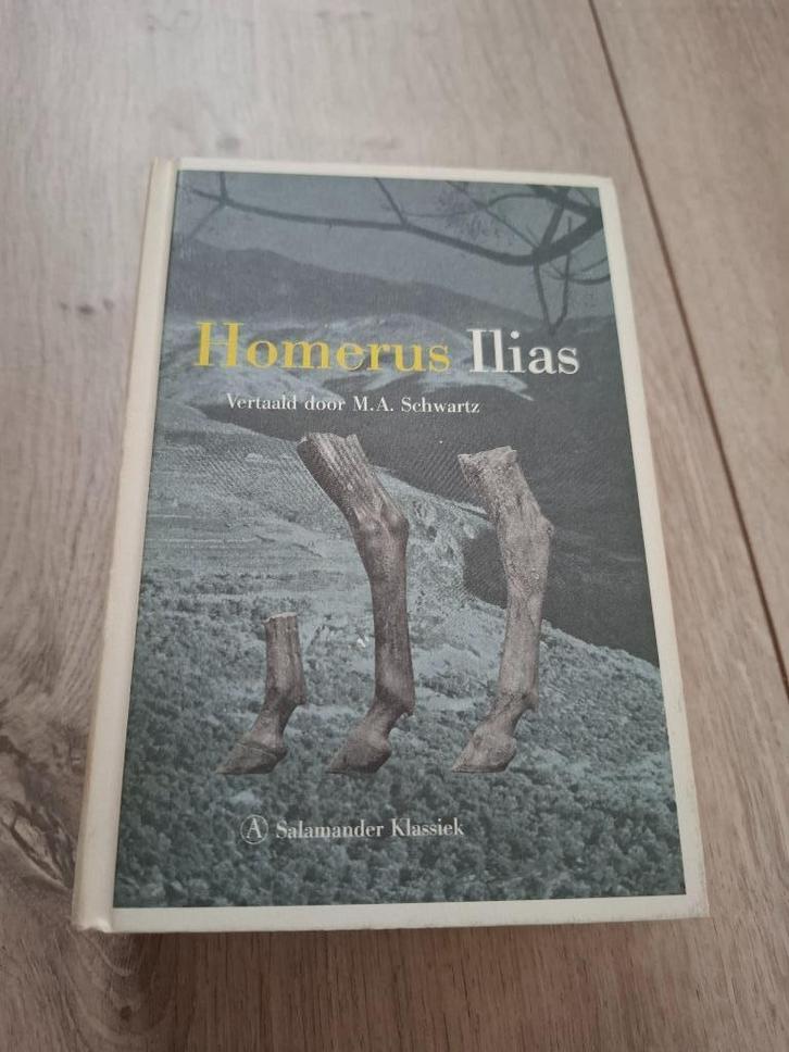 Homerus - Ilias, Boeken, Literatuur, Zo goed als nieuw, Nederland, Ophalen of Verzenden