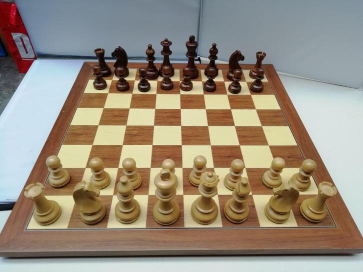 Vintage schaakspel Meisterschach RCR Terry, Hobby en Vrije tijd, Gezelschapsspellen | Bordspellen, Gebruikt, Een of twee spelers