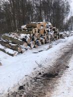 !!Gezocht!! Stamhout/Rondhout tegen marktconforme prijzen, Tuin en Terras, Haardhout, Ophalen of Verzenden