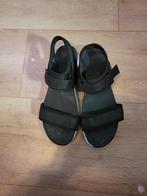 Skechers sandalen, Kleding | Dames, Schoenen, Ophalen of Verzenden, Zo goed als nieuw, Zwart, Sandalen of Muiltjes
