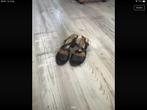 Zwart gemêleerde sandalen, Ophalen of Verzenden, Zo goed als nieuw, Zwart, Sandalen of Muiltjes