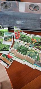 Seed tray and seeds (20+), Tuin en Terras, Planten | Tuinplanten, Ophalen of Verzenden, Zomer, Volle zon