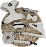 Teddy Y tuigje set - Paws by James, Verzenden, Nieuw, Hondenriem