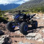 quad 1500 watt 60 volt carbon 4 speed met cardanaandrijving, Nieuw, Xtreme, Aanvragen@miniracers.nl, Breda